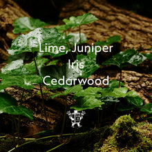 Load image into Gallery viewer, Cedarwood Moisture-Replenish Hand Sanitiser
